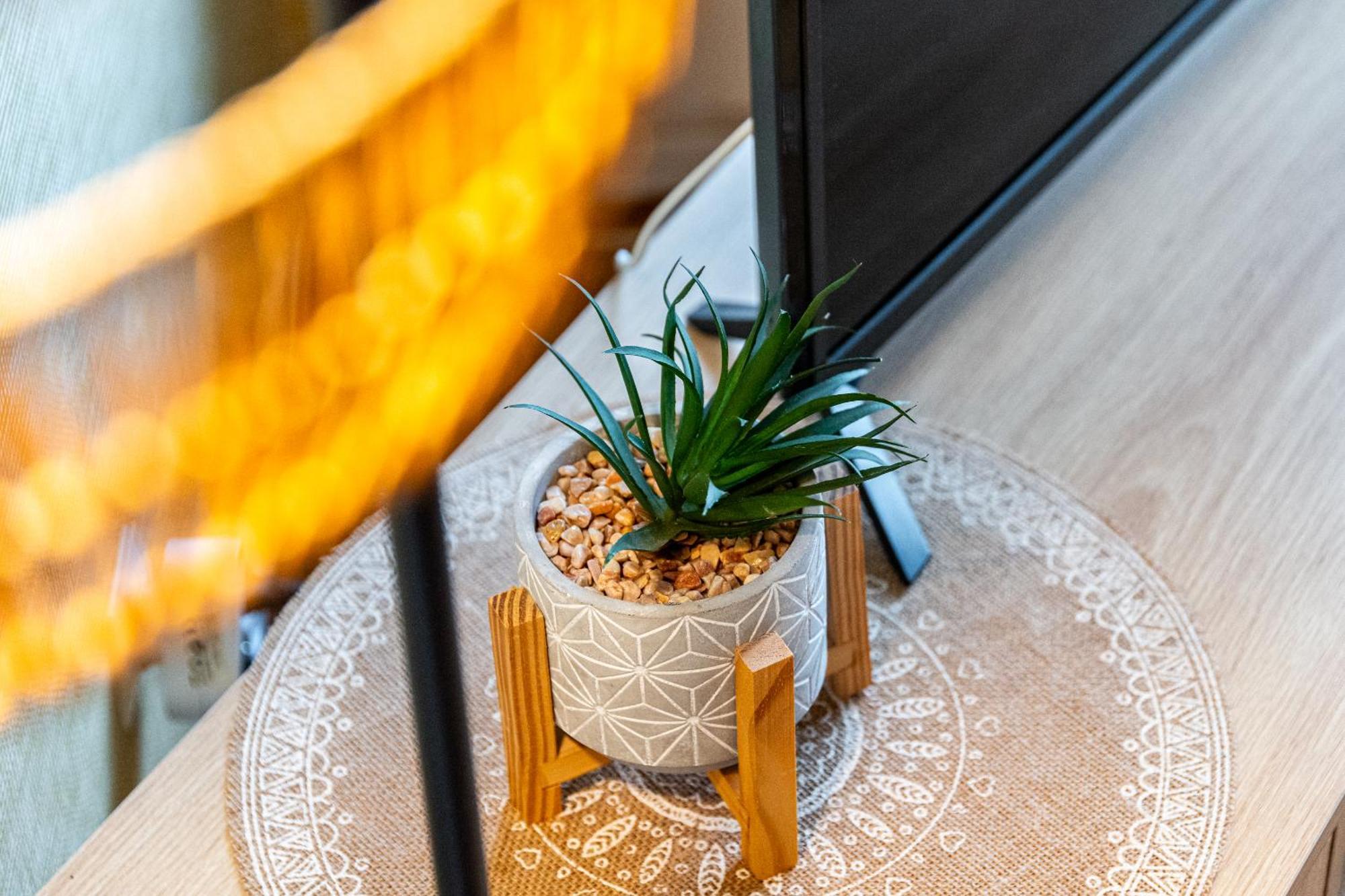 Appartement Parking Dijon Proche Centre Wilson 외부 사진